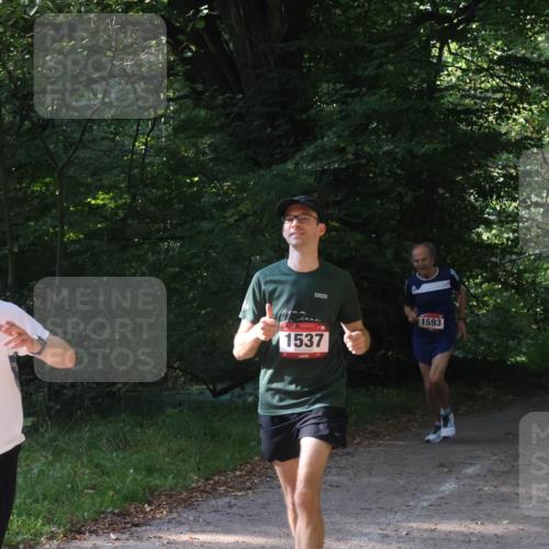 22.09.2024 - 32. Volkslauf durch das schöne Alstertal Luisa Fischer http://msf.ph/oto/7101638 22.09.2024 10:21:22 Laufen 1637, 1537, 1593 meine-sportfotos.de