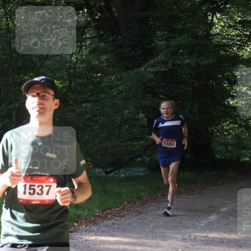 22.09.2024 - 32. Volkslauf durch das schöne Alstertal Luisa Fischer http://msf.ph/oto/7101641 22.09.2024 10:21:23 Laufen 1537, 1593 meine-sportfotos.de