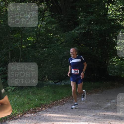 22.09.2024 - 32. Volkslauf durch das schöne Alstertal Luisa Fischer http://msf.ph/oto/7101642 22.09.2024 10:21:23 Laufen 3, 1593 meine-sportfotos.de