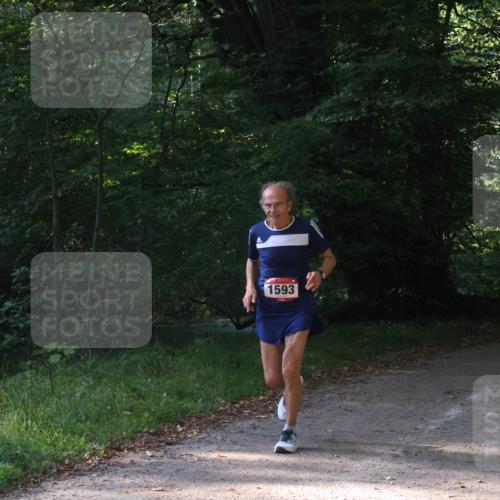 22.09.2024 - 32. Volkslauf durch das schöne Alstertal Luisa Fischer http://msf.ph/oto/7101643 22.09.2024 10:21:24 Laufen 1593 meine-sportfotos.de