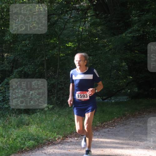22.09.2024 - 32. Volkslauf durch das schöne Alstertal Luisa Fischer http://msf.ph/oto/7101644 22.09.2024 10:21:24 Laufen 1593 meine-sportfotos.de
