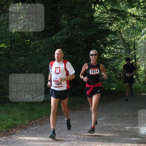 22.09.2024 - 32. Volkslauf durch das schöne Alstertal Luisa Fischer http://msf.ph/oto/7101653 22.09.2024 10:21:37 Laufen 1588, 1014 meine-sportfotos.de