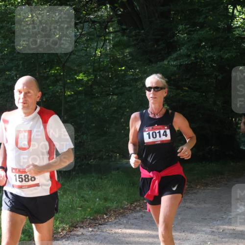 22.09.2024 - 32. Volkslauf durch das schöne Alstertal Luisa Fischer http://msf.ph/oto/7101656 22.09.2024 10:21:39 Laufen 1580, 1014, 1577 meine-sportfotos.de