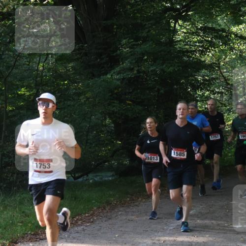 22.09.2024 - 32. Volkslauf durch das schöne Alstertal Luisa Fischer http://msf.ph/oto/7101662 22.09.2024 10:21:51 Laufen 1585, 1013, 1753, 1757, 1602 meine-sportfotos.de