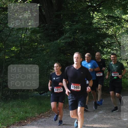 22.09.2024 - 32. Volkslauf durch das schöne Alstertal Luisa Fischer http://msf.ph/oto/7101664 22.09.2024 10:21:52 Laufen 753, 1013, 1585, 1757, 1602 meine-sportfotos.de