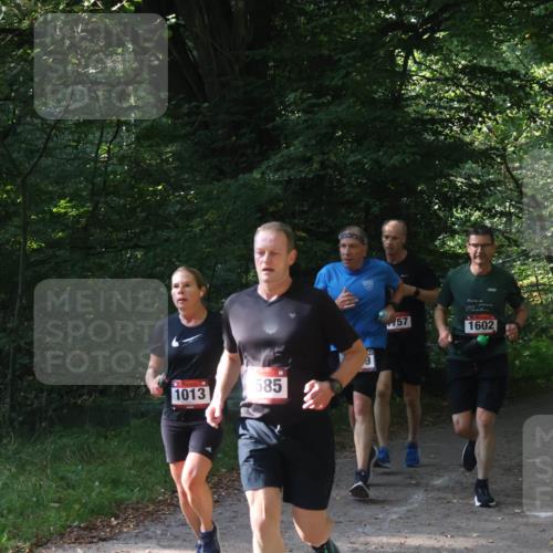 22.09.2024 - 32. Volkslauf durch das schöne Alstertal Luisa Fischer http://msf.ph/oto/7101665 22.09.2024 10:21:53 Laufen 1013, 585, 57, 1602 meine-sportfotos.de