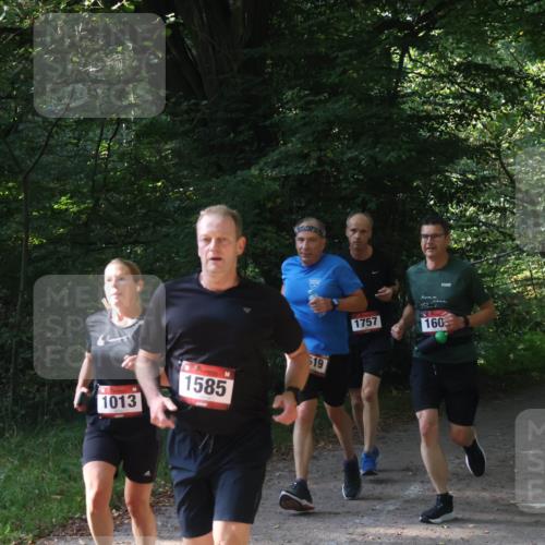 22.09.2024 - 32. Volkslauf durch das schöne Alstertal Luisa Fischer http://msf.ph/oto/7101666 22.09.2024 10:21:53 Laufen 1013, 1585, 519, 1757, 160 meine-sportfotos.de