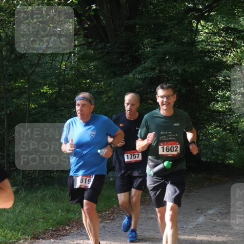 22.09.2024 - 32. Volkslauf durch das schöne Alstertal Luisa Fischer http://msf.ph/oto/7101669 22.09.2024 10:21:54 Laufen 619, 1757, 1602, 1012 meine-sportfotos.de