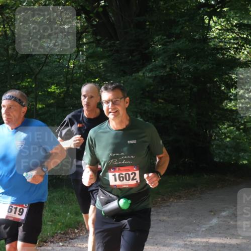 22.09.2024 - 32. Volkslauf durch das schöne Alstertal Luisa Fischer http://msf.ph/oto/7101671 22.09.2024 10:21:54 Laufen 619, 1602 meine-sportfotos.de