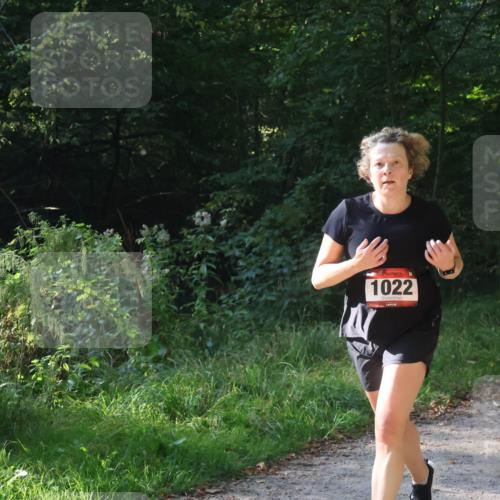 22.09.2024 - 32. Volkslauf durch das schöne Alstertal Luisa Fischer http://msf.ph/oto/7101677 22.09.2024 10:22:02 Laufen 1022 meine-sportfotos.de