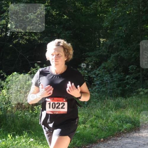 22.09.2024 - 32. Volkslauf durch das schöne Alstertal Luisa Fischer http://msf.ph/oto/7101679 22.09.2024 10:22:03 Laufen 1022 meine-sportfotos.de