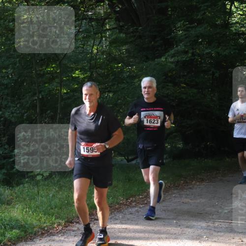 22.09.2024 - 32. Volkslauf durch das schöne Alstertal Luisa Fischer http://msf.ph/oto/7101681 22.09.2024 10:22:08 Laufen 1595, 1623, 1008 meine-sportfotos.de