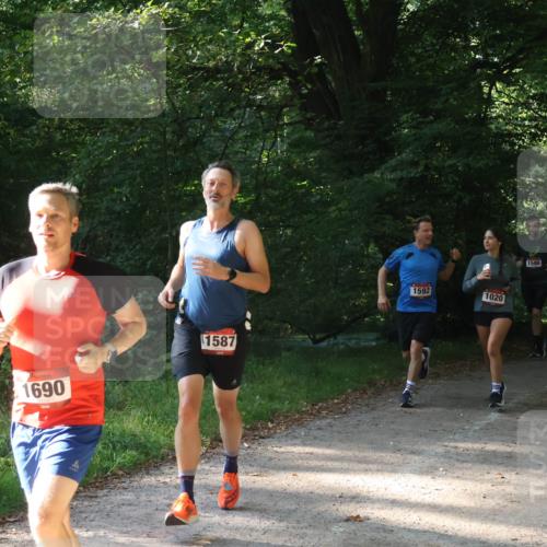 22.09.2024 - 32. Volkslauf durch das schöne Alstertal Luisa Fischer http://msf.ph/oto/7101692 22.09.2024 10:22:15 Laufen 1587, 1690, 1592, 1020, 1586, 1596, 112 meine-sportfotos.de