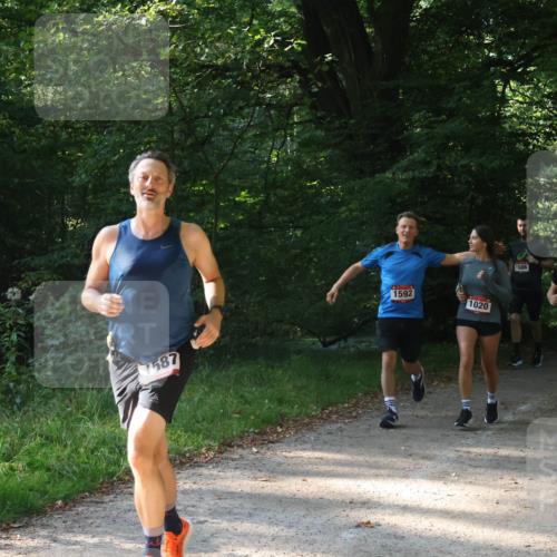 22.09.2024 - 32. Volkslauf durch das schöne Alstertal Luisa Fischer http://msf.ph/oto/7101693 22.09.2024 10:22:15 Laufen 90, 7587, 1592, 1020, 1586, 1596, 1112 meine-sportfotos.de