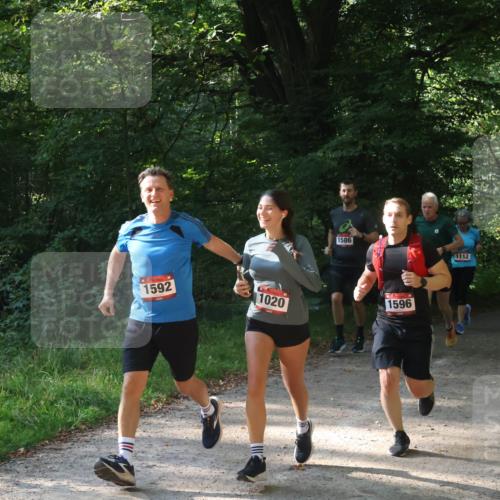 22.09.2024 - 32. Volkslauf durch das schöne Alstertal Luisa Fischer http://msf.ph/oto/7101697 22.09.2024 10:22:17 Laufen 1592, 1020, 1586, 1596, 1112 meine-sportfotos.de