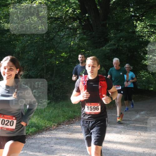 22.09.2024 - 32. Volkslauf durch das schöne Alstertal Luisa Fischer http://msf.ph/oto/7101698 22.09.2024 10:22:18 Laufen 1020, 1596, 2, 1612 meine-sportfotos.de