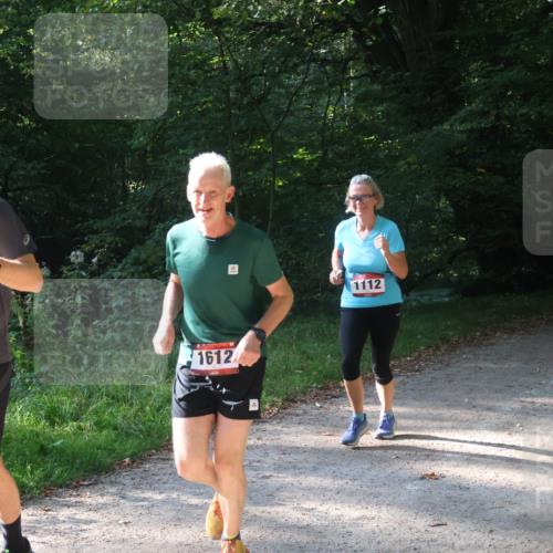 22.09.2024 - 32. Volkslauf durch das schöne Alstertal Luisa Fischer http://msf.ph/oto/7101702 22.09.2024 10:22:20 Laufen 586, 1612, 1112 meine-sportfotos.de