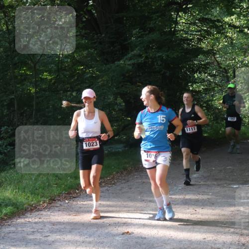 22.09.2024 - 32. Volkslauf durch das schöne Alstertal Luisa Fischer http://msf.ph/oto/7101708 22.09.2024 10:22:33 Laufen 1023, 15, 1016, 1111, 1643 meine-sportfotos.de