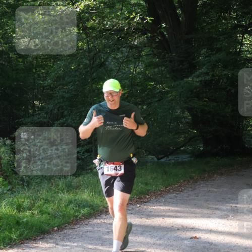 22.09.2024 - 32. Volkslauf durch das schöne Alstertal Luisa Fischer http://msf.ph/oto/7101713 22.09.2024 10:22:37 Laufen 1643, 161, 1609 meine-sportfotos.de