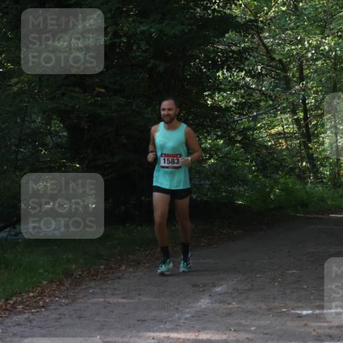22.09.2024 - 32. Volkslauf durch das schöne Alstertal Luisa Fischer http://msf.ph/oto/7101728 22.09.2024 10:22:54 Laufen 1583 meine-sportfotos.de