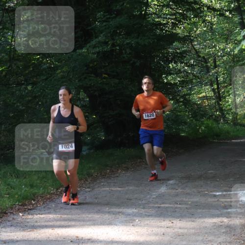 22.09.2024 - 32. Volkslauf durch das schöne Alstertal Luisa Fischer http://msf.ph/oto/7101735 22.09.2024 10:23:07 Laufen 1024, 1620, 1033 meine-sportfotos.de