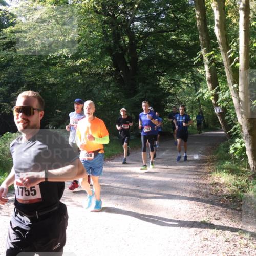 22.09.2024 - 32. Volkslauf durch das schöne Alstertal Luisa Fischer http://msf.ph/oto/7101752 22.09.2024 10:23:20 Laufen 1755, 1646, 688, 1652, 1763 meine-sportfotos.de