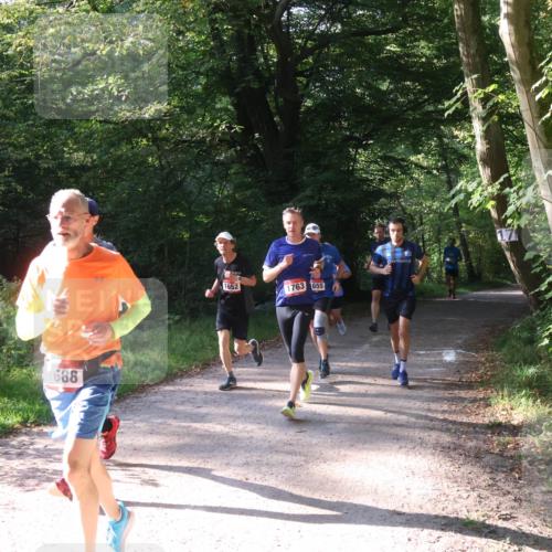 22.09.2024 - 32. Volkslauf durch das schöne Alstertal Luisa Fischer http://msf.ph/oto/7101753 22.09.2024 10:23:20 Laufen 688, 1652, 1763, 655 meine-sportfotos.de