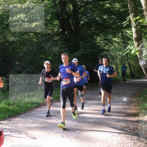 22.09.2024 - 32. Volkslauf durch das schöne Alstertal Luisa Fischer http://msf.ph/oto/7101754 22.09.2024 10:23:20 Laufen 1652, 1763 meine-sportfotos.de