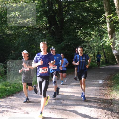 22.09.2024 - 32. Volkslauf durch das schöne Alstertal Luisa Fischer http://msf.ph/oto/7101755 22.09.2024 10:23:21 Laufen 1652, 1763, 1655 meine-sportfotos.de