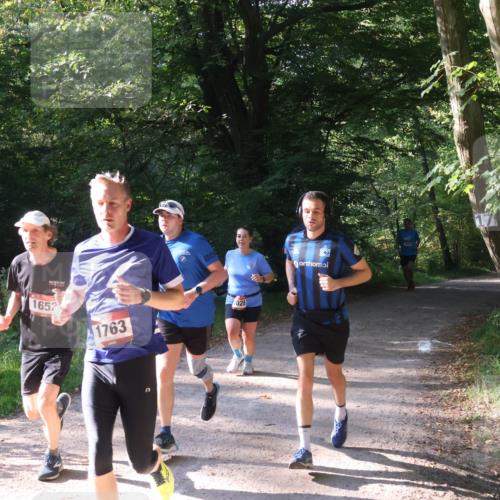 22.09.2024 - 32. Volkslauf durch das schöne Alstertal Luisa Fischer http://msf.ph/oto/7101756 22.09.2024 10:23:21 Laufen 1652, 1763, 1028 meine-sportfotos.de