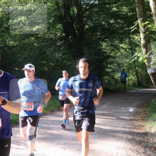 22.09.2024 - 32. Volkslauf durch das schöne Alstertal Luisa Fischer http://msf.ph/oto/7101757 22.09.2024 10:23:22 Laufen 65, 1763, 1655, 028 meine-sportfotos.de