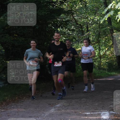 22.09.2024 - 32. Volkslauf durch das schöne Alstertal Luisa Fischer http://msf.ph/oto/7101769 22.09.2024 10:23:33 Laufen 1026, 2509, 1640, 1029, 17, 15 meine-sportfotos.de