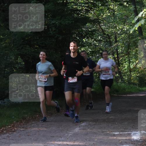 22.09.2024 - 32. Volkslauf durch das schöne Alstertal Luisa Fischer http://msf.ph/oto/7101770 22.09.2024 10:23:33 Laufen 1598, 1029, 1640, 1023, 2509 meine-sportfotos.de