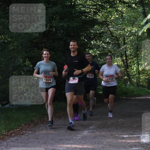 22.09.2024 - 32. Volkslauf durch das schöne Alstertal Luisa Fischer http://msf.ph/oto/7101771 22.09.2024 10:23:33 Laufen 1026, 2509, 1640, 1029, 1598 meine-sportfotos.de