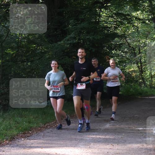 22.09.2024 - 32. Volkslauf durch das schöne Alstertal Luisa Fischer http://msf.ph/oto/7101773 22.09.2024 10:23:34 Laufen 1026, 2509, 1640, 29 meine-sportfotos.de