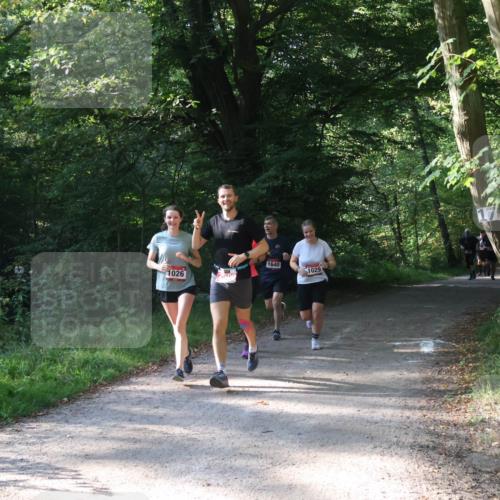 22.09.2024 - 32. Volkslauf durch das schöne Alstertal Luisa Fischer http://msf.ph/oto/7101775 22.09.2024 10:23:35 Laufen 1640, 1026, 1029, 500 meine-sportfotos.de