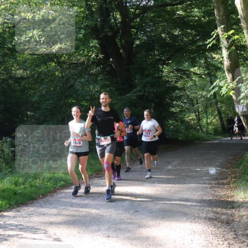 22.09.2024 - 32. Volkslauf durch das schöne Alstertal Luisa Fischer http://msf.ph/oto/7101776 22.09.2024 10:23:35 Laufen 1026, 509, 1640, 1029 meine-sportfotos.de