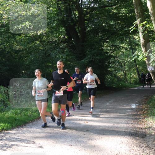 22.09.2024 - 32. Volkslauf durch das schöne Alstertal Luisa Fischer http://msf.ph/oto/7101777 22.09.2024 10:23:36 Laufen 1026, 2509, 1640, 1029 meine-sportfotos.de