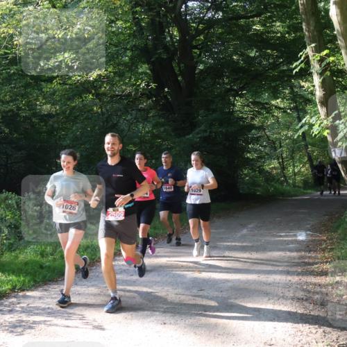 22.09.2024 - 32. Volkslauf durch das schöne Alstertal Luisa Fischer http://msf.ph/oto/7101778 22.09.2024 10:23:36 Laufen 1026, 2509, 1640, 1029 meine-sportfotos.de