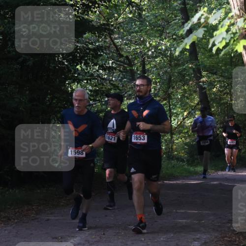 22.09.2024 - 32. Volkslauf durch das schöne Alstertal Luisa Fischer http://msf.ph/oto/7101779 22.09.2024 10:23:40 Laufen 1598, 2014, 1621, 1653, 1658, 1093, 17 meine-sportfotos.de