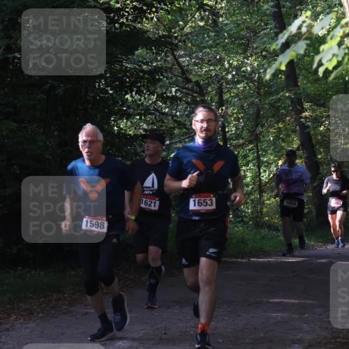 22.09.2024 - 32. Volkslauf durch das schöne Alstertal Luisa Fischer http://msf.ph/oto/7101780 22.09.2024 10:23:41 Laufen 1598, 2014, 1621, 1653, 17, 1658, 093, 173 meine-sportfotos.de