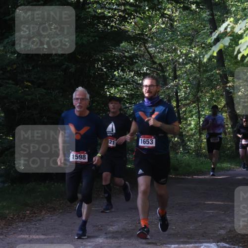 22.09.2024 - 32. Volkslauf durch das schöne Alstertal Luisa Fischer http://msf.ph/oto/7101781 22.09.2024 10:23:41 Laufen 014, 1598, 21, 1653, 1658, 1093, 17 meine-sportfotos.de