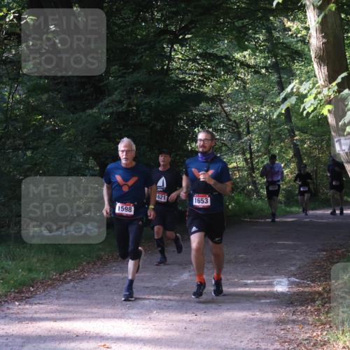 22.09.2024 - 32. Volkslauf durch das schöne Alstertal Luisa Fischer http://msf.ph/oto/7101783 22.09.2024 10:23:42 Laufen 1598, 1658, 1093, 621, 1653 meine-sportfotos.de