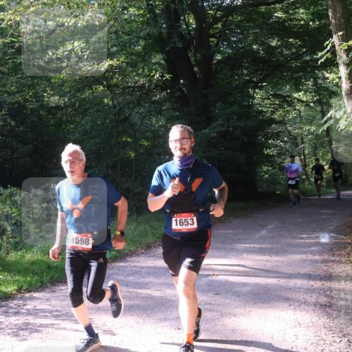 22.09.2024 - 32. Volkslauf durch das schöne Alstertal Luisa Fischer http://msf.ph/oto/7101789 22.09.2024 10:23:44 Laufen 1598, 1653 meine-sportfotos.de