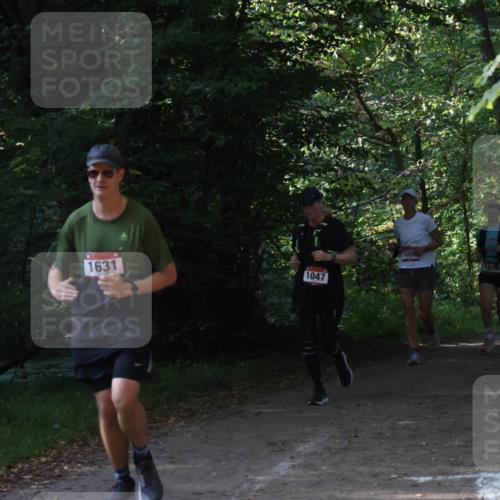 22.09.2024 - 32. Volkslauf durch das schöne Alstertal Luisa Fischer http://msf.ph/oto/7101800 22.09.2024 10:23:56 Laufen 1631, 1047, 105, 1039, 1053 meine-sportfotos.de