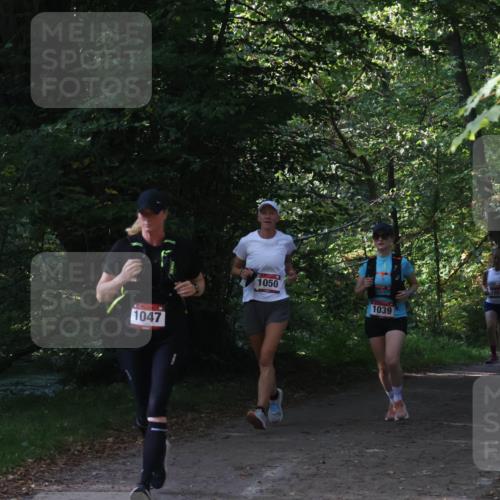 22.09.2024 - 32. Volkslauf durch das schöne Alstertal Luisa Fischer http://msf.ph/oto/7101802 22.09.2024 10:23:57 Laufen 1047, 1050, 1039, 1053 meine-sportfotos.de