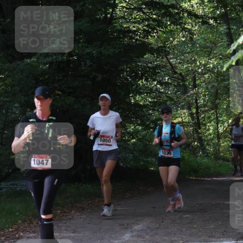 22.09.2024 - 32. Volkslauf durch das schöne Alstertal Luisa Fischer http://msf.ph/oto/7101803 22.09.2024 10:23:58 Laufen 1047, 1050, 1039, 1055 meine-sportfotos.de