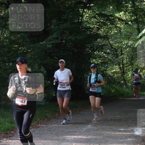 22.09.2024 - 32. Volkslauf durch das schöne Alstertal Luisa Fischer http://msf.ph/oto/7101804 22.09.2024 10:23:59 Laufen 1047, 1050, 1039, 1043 meine-sportfotos.de