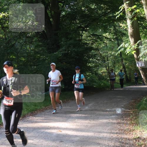 22.09.2024 - 32. Volkslauf durch das schöne Alstertal Luisa Fischer http://msf.ph/oto/7101806 22.09.2024 10:23:59 Laufen 1047, 1050, 1039 meine-sportfotos.de