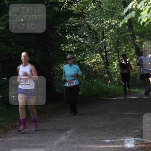 22.09.2024 - 32. Volkslauf durch das schöne Alstertal Luisa Fischer http://msf.ph/oto/7101808 22.09.2024 10:24:03 Laufen 1053, 1055, 07, 1624, 171 meine-sportfotos.de